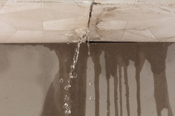 Professional Burst Pipe Cleanup technician working in Annapolis, CA